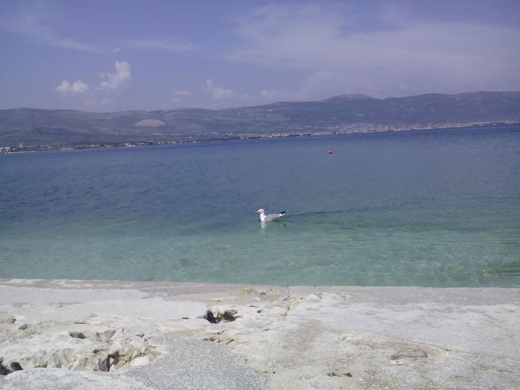 Apartment Aida Trogir Ngoại thất bức ảnh